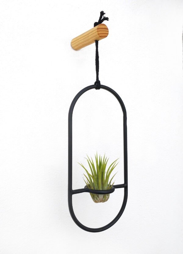 Pack Air planter + Soporte de pared - Imagen 7