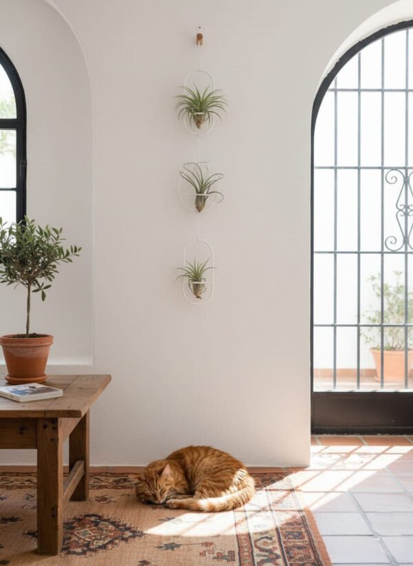 Trio Pack Air planter + soporte de pared - Imagen 5