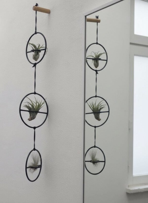 Trio Pack Air planter + soporte de pared - Imagen 13