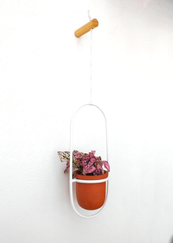 Pack Maceta colgante + Soporte de pared - Imagen 4