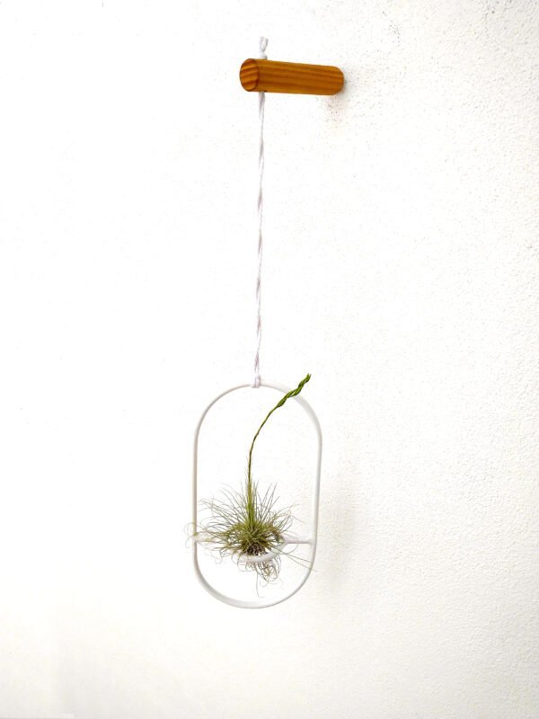 Pack Air planter + Soporte de pared - Imagen 2