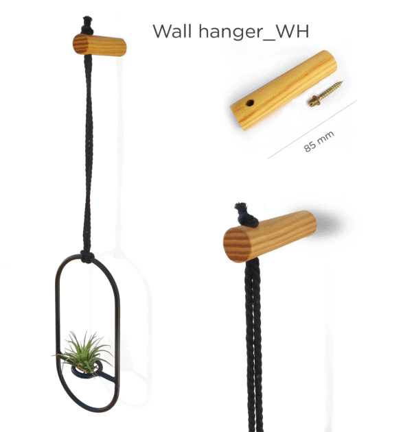 Pack Air planter + Soporte de pared - Imagen 5