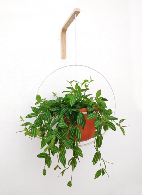 Soporte de pared "L" - Imagen 3